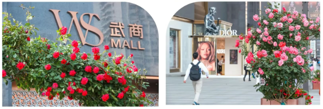 MG电子(中国游)试玩官方网站