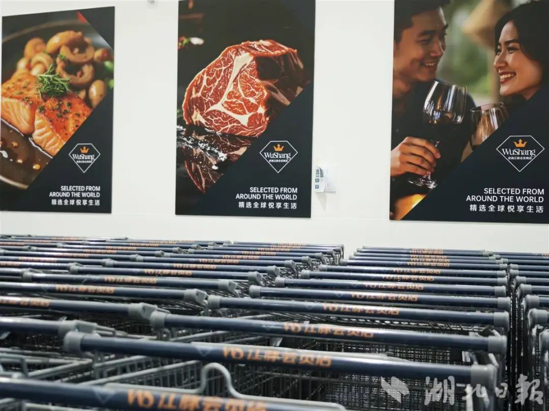 MG电子(中国游)试玩官方网站